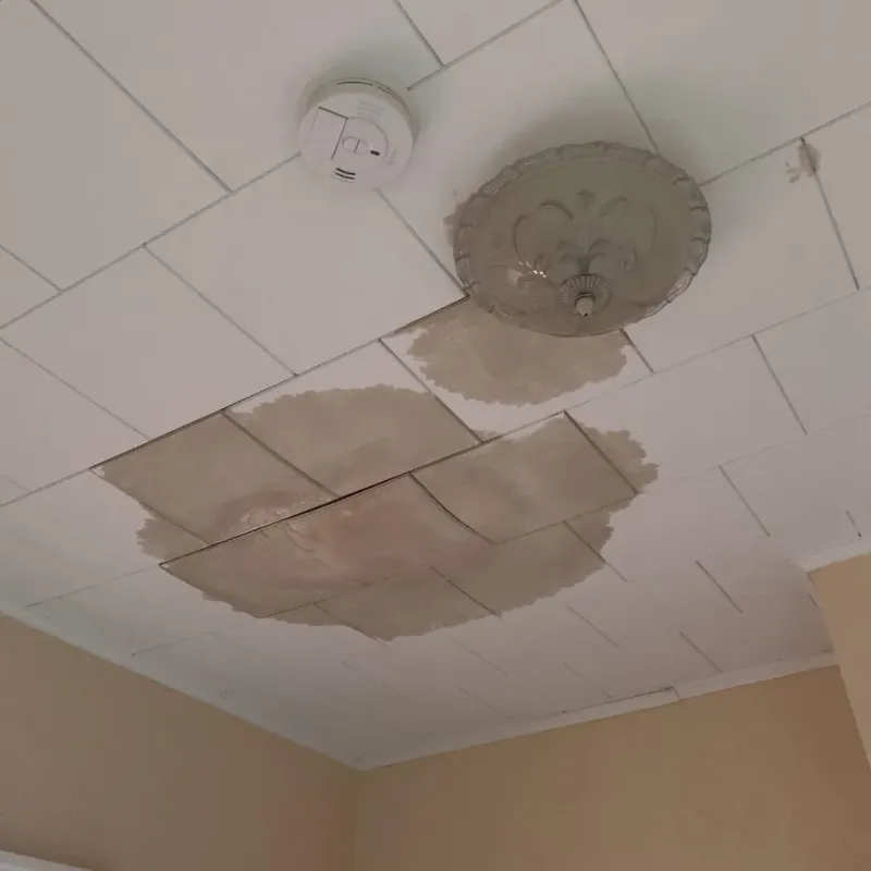 Ceiling Water Damage Repair in Ransom Canyon, TX
