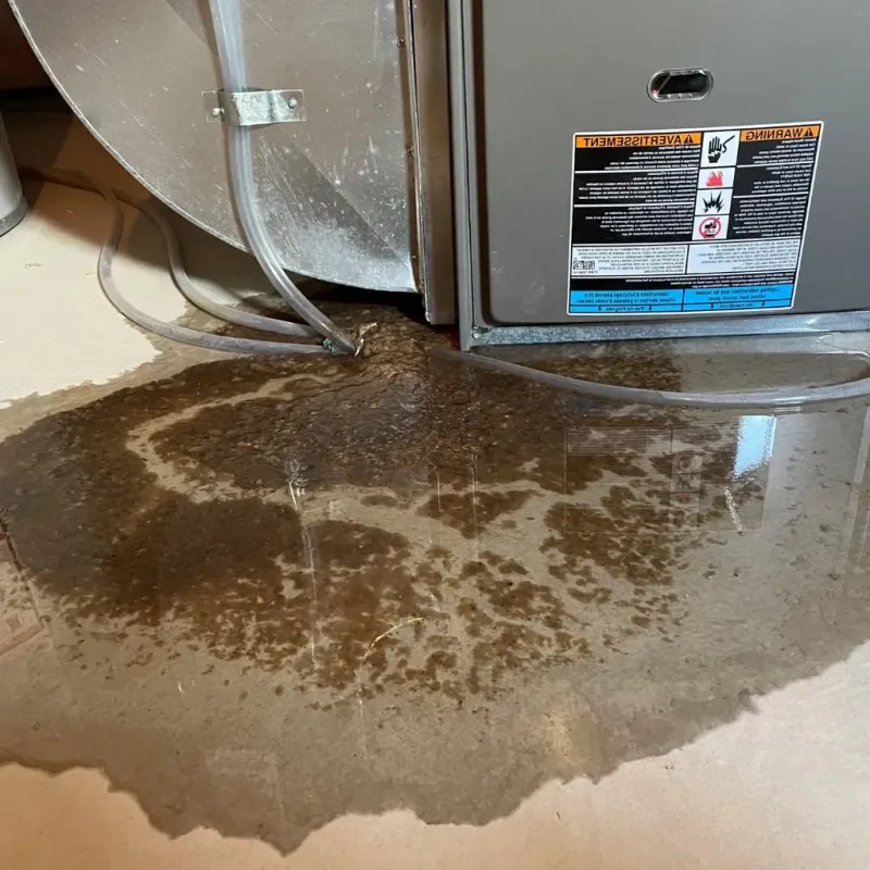 Pipe Burst and Leak Restoration in Ransom Canyon, TX